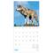 Tf Publishing 2025 Wolves Mini Calendar Michaels Tf Publishing 2025 Wolves Mini Calendar Michaels